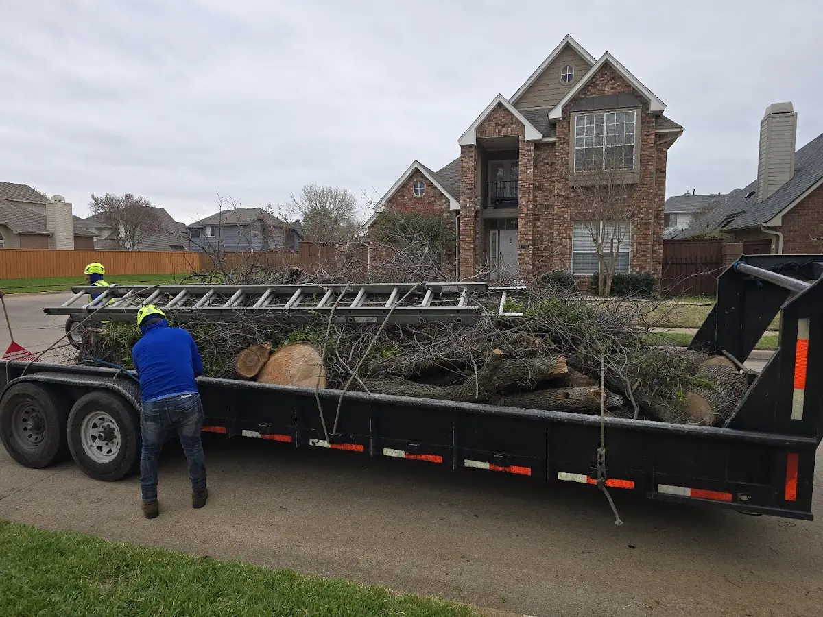 Expert Tree Pest Control with proper safety equipment in Ethel